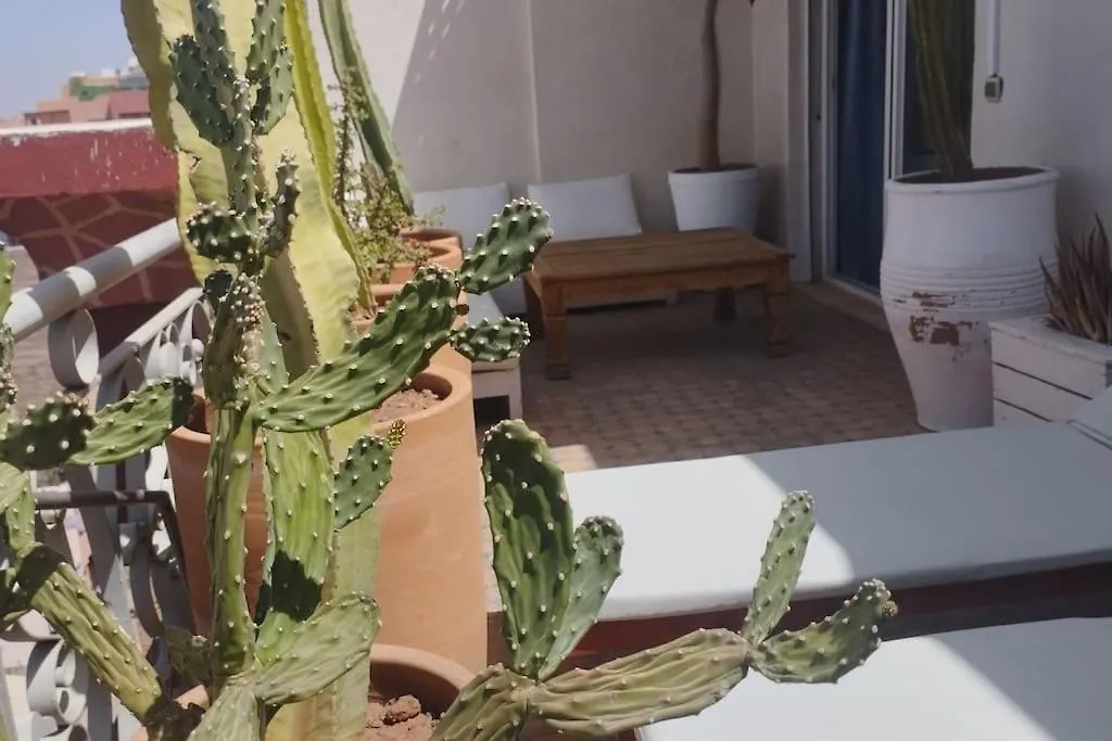 Lägenhet Rooftop Avec Terrasse Centre Gueliz Marrakesh